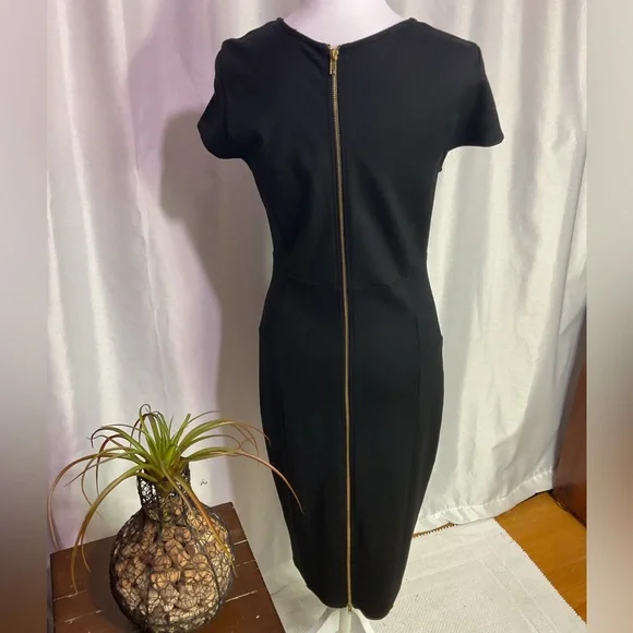 Felicity & Coco Ward Seamed Pencil Dress
( Worn Once ) - Picture 8 of 14